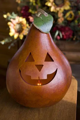 Traditional Jacks Gourd - Available in Multiple Sizes