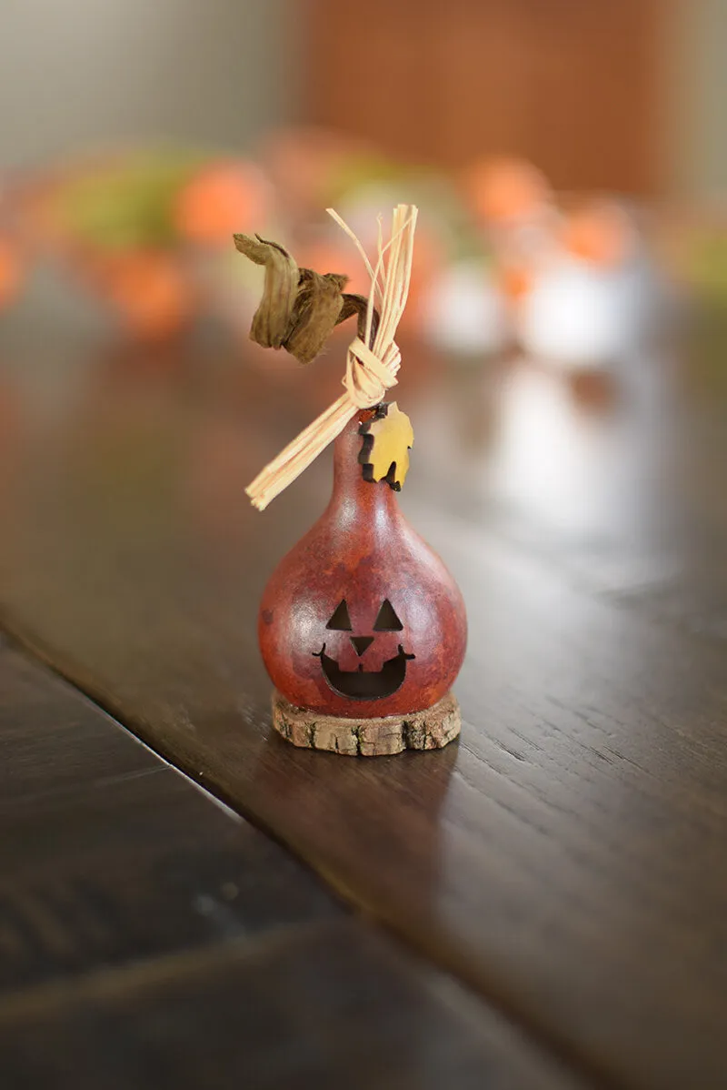 Traditional Jacks Gourd - Available in Multiple Sizes